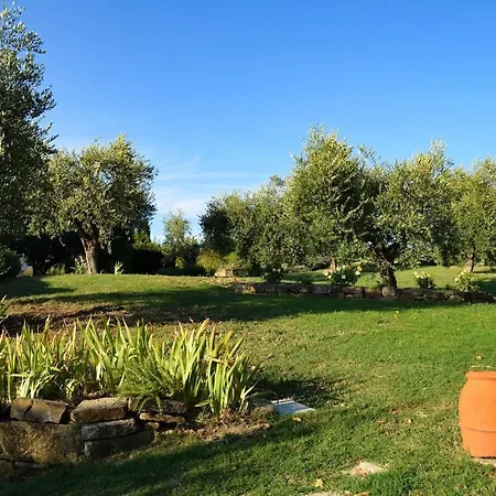 Oasi Di Relax In Toscana - Casa Con Piscina Privata E Jacuzzi Tra Firenze E Chianti Scandicci Exterior photo